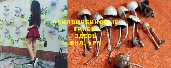 прущие крисы Богданович