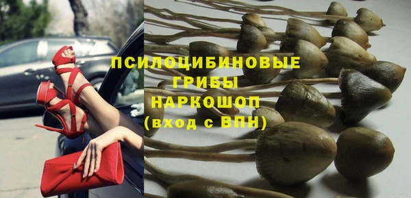 прущие крисы Богданович