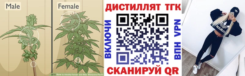 ссылка на мегу вход  Сыктывкар  ТГК THC oil 
