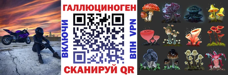 Галлюциногенные грибы Psilocybine cubensis  Сыктывкар 